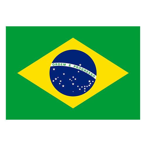 Brazil U20 Logo